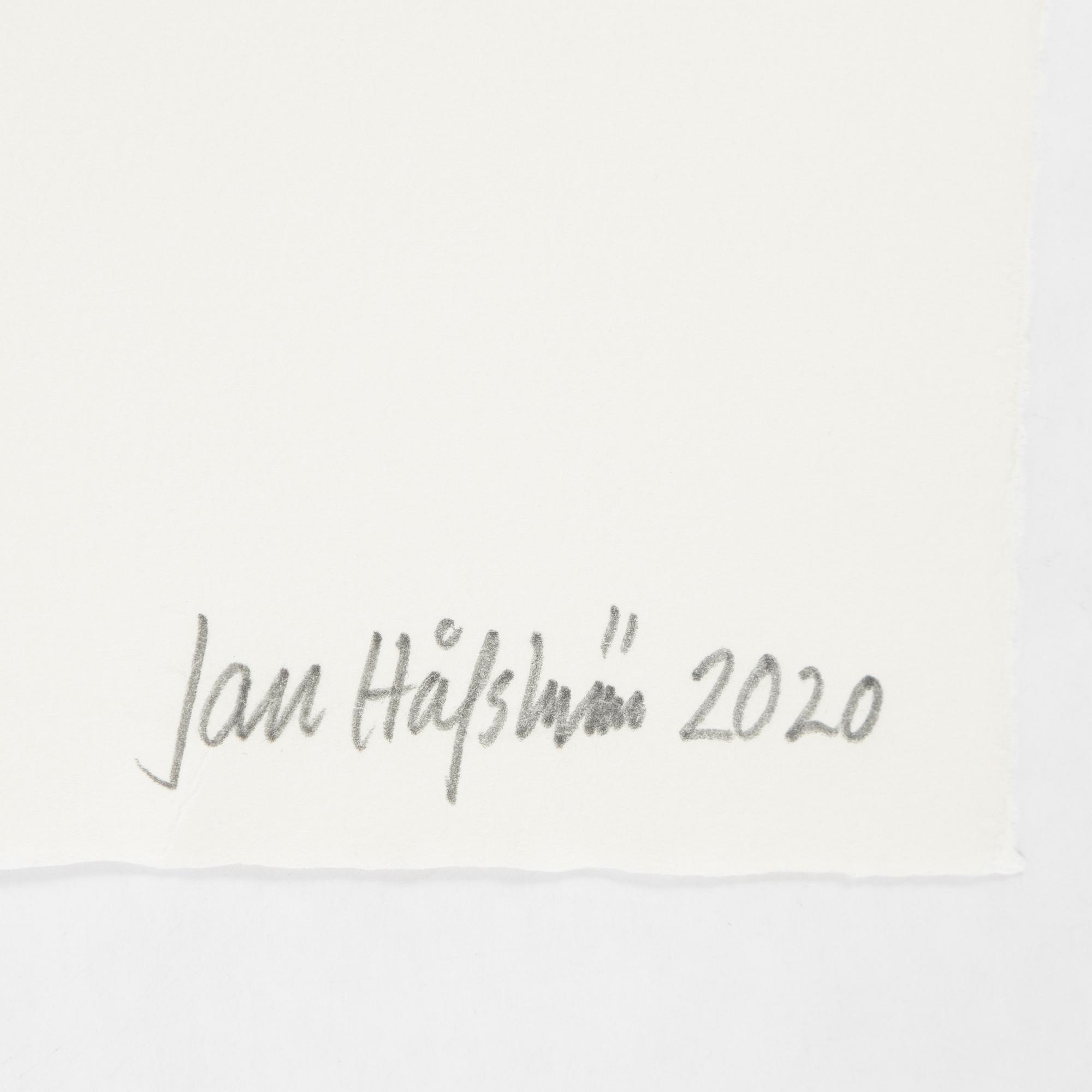 Jan Håfström, etching in colours, 2020, signed 45/50.