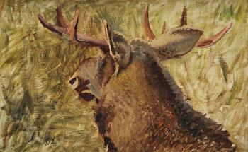 606. Bruno Liljefors, Moose head.