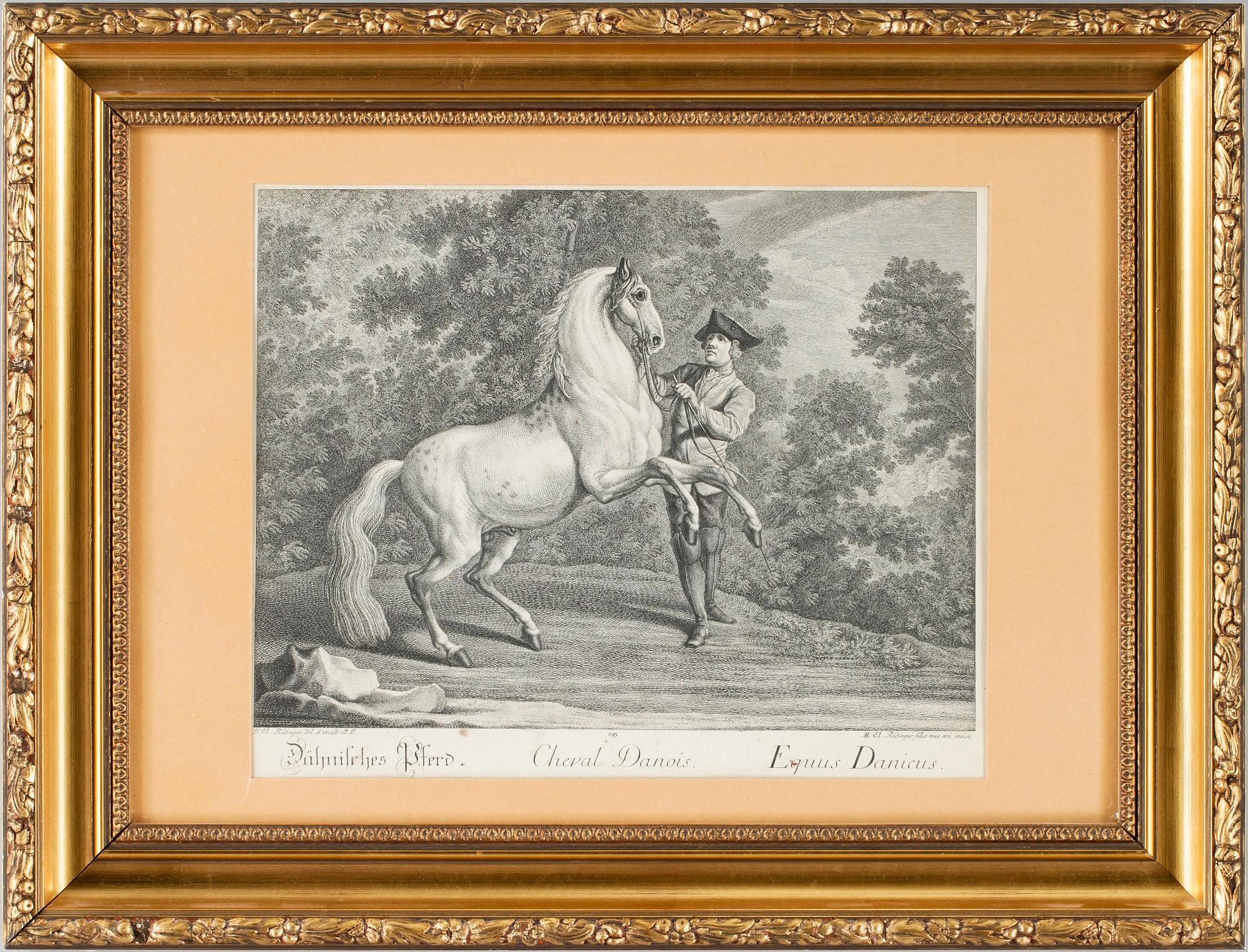 JOHANN ELIAS RIDINGER, kopparstick. 1700-tal. Sign i plåten.