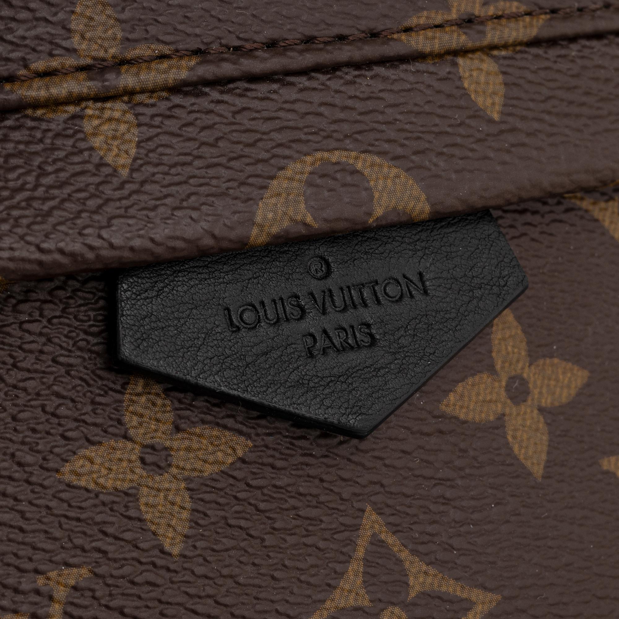 Louis Vuitton, backpack "Palm Springs Pm".