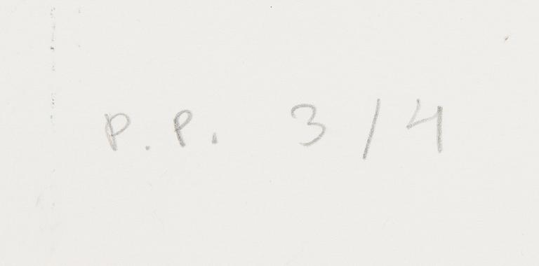 Jani Leinonen, "The End".