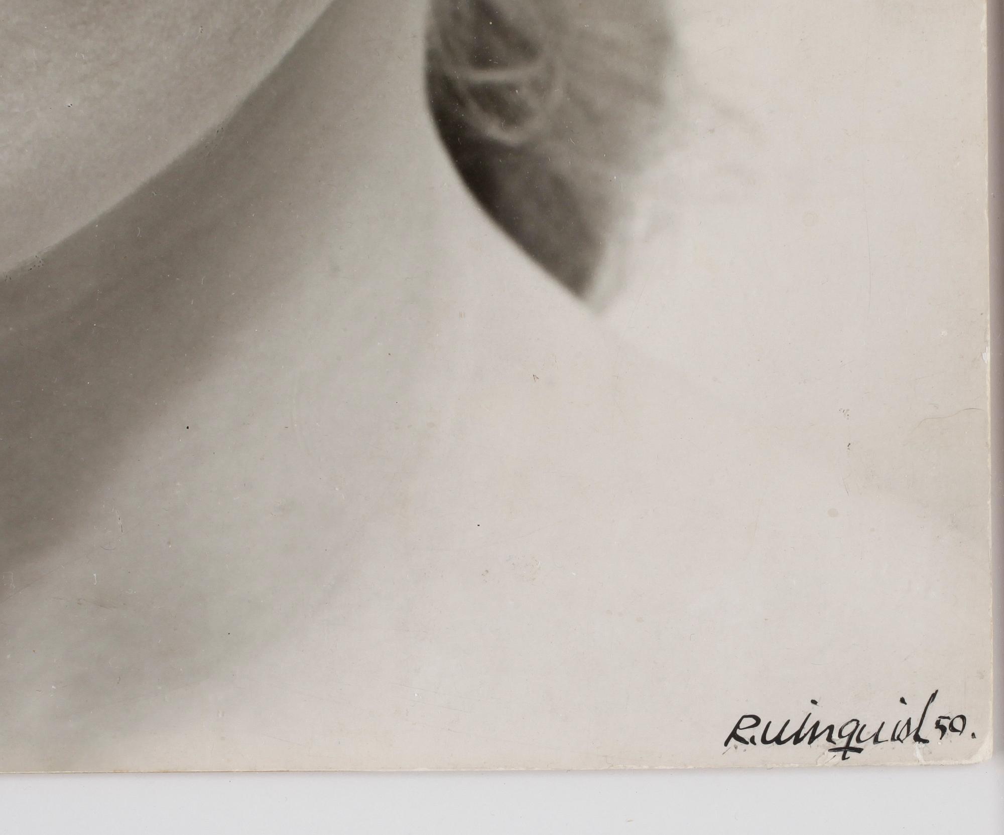 ROLF WINQUIST, Sign och dat 59. Fotografi.