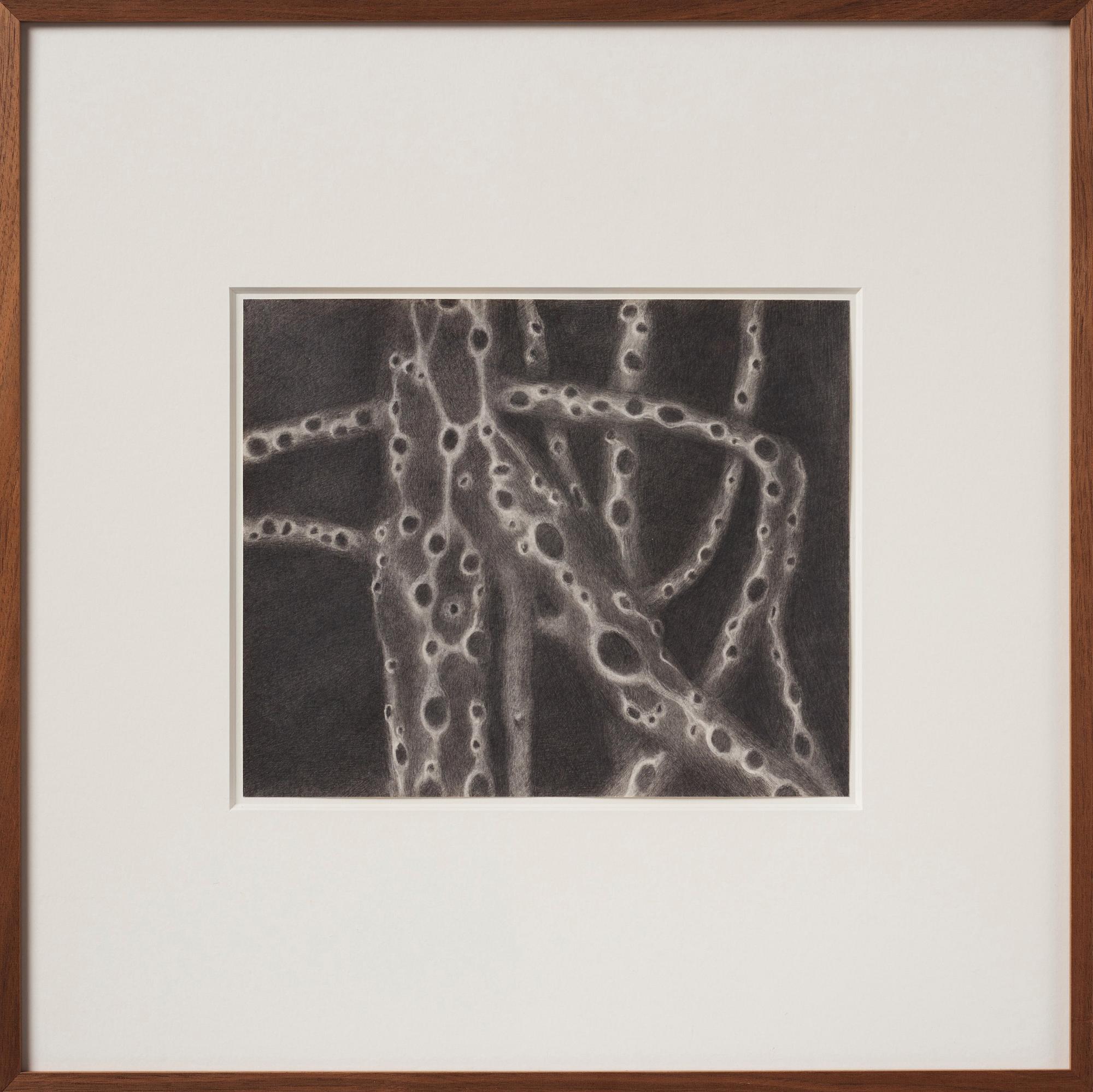 Christine Ödlund, "Mycelium".