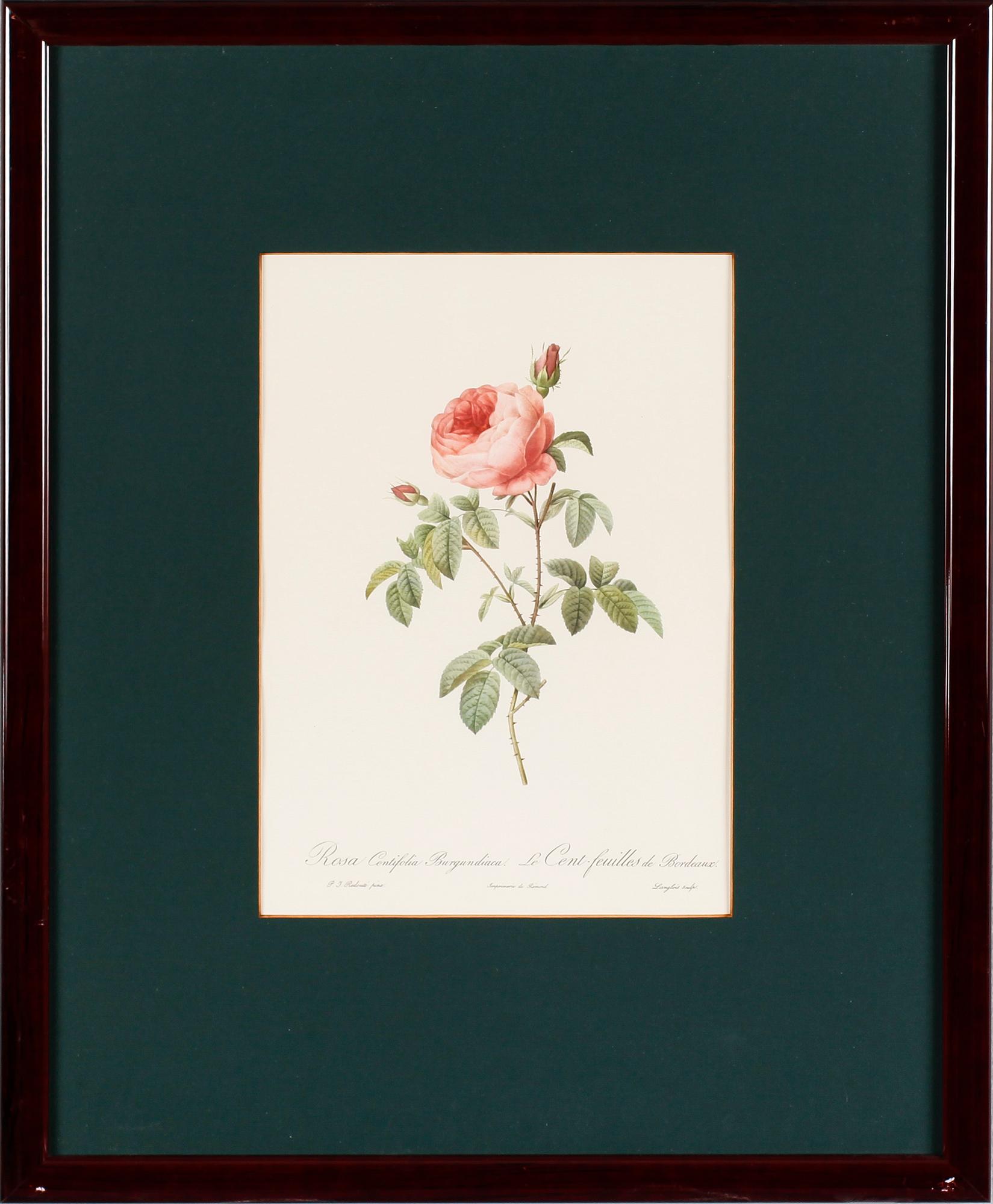 TAVLOR, 5 st, efter Redouté, tryck, 1900-talets andra hälft.