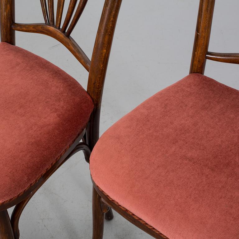 2 pcs of chairs, Fischel, first half of the 20th century,