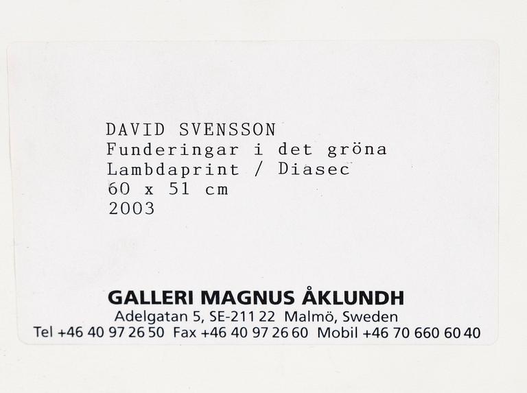 David Svensson, "Funderingar i det gröna", 2003.