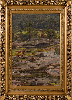 Victor Westerholm, From Knutsboda mountains.