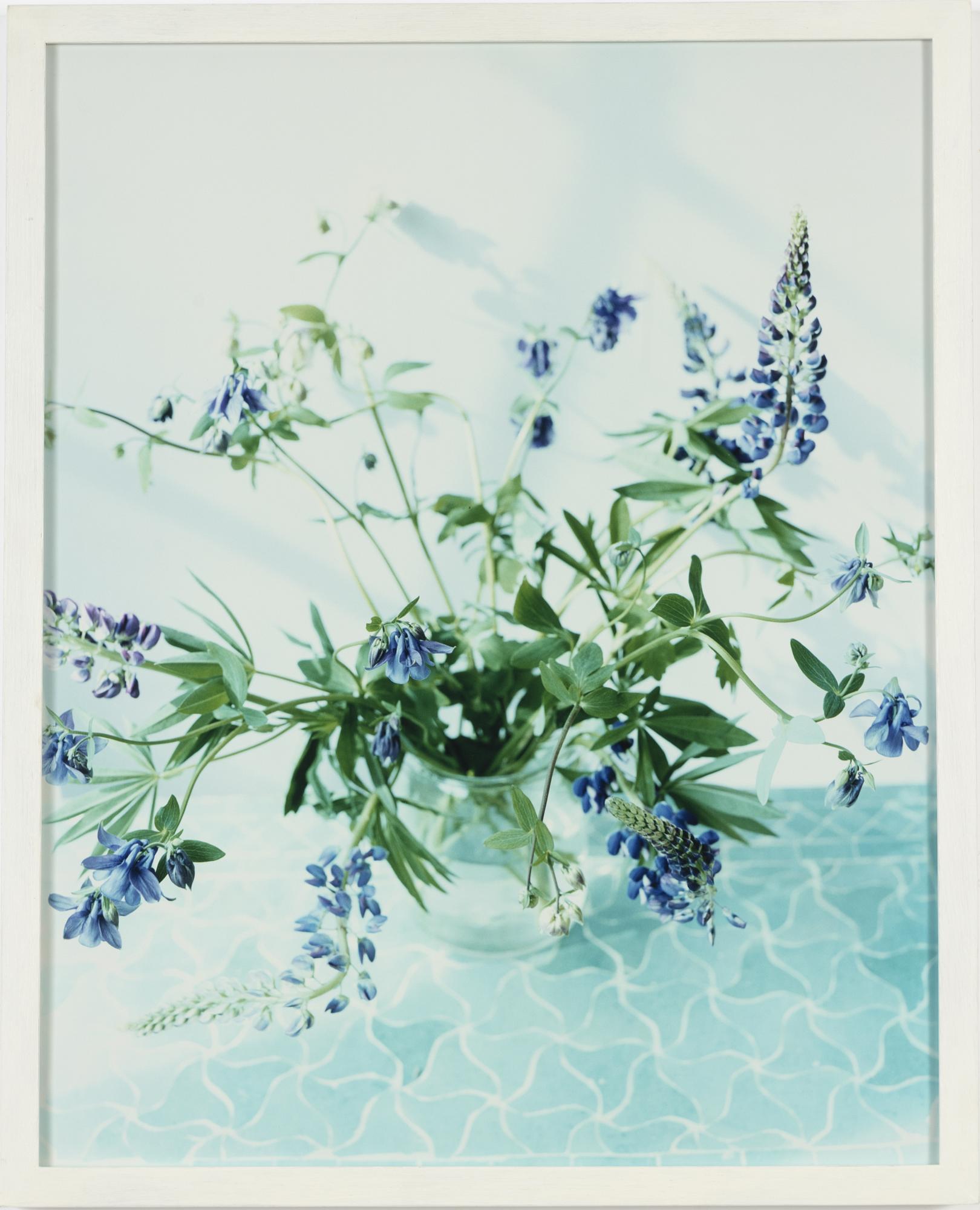 Denise Grünstein, photograph signed and numbered 7/75 verso.