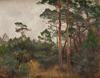 644. Bruno Liljefors, Moose by the forest edge.