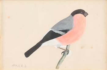 MOSSE STOOPENDAAL, akvarell, sign.