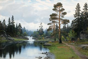 623. Conrad Selmyhr, METSÄMAISEMA.