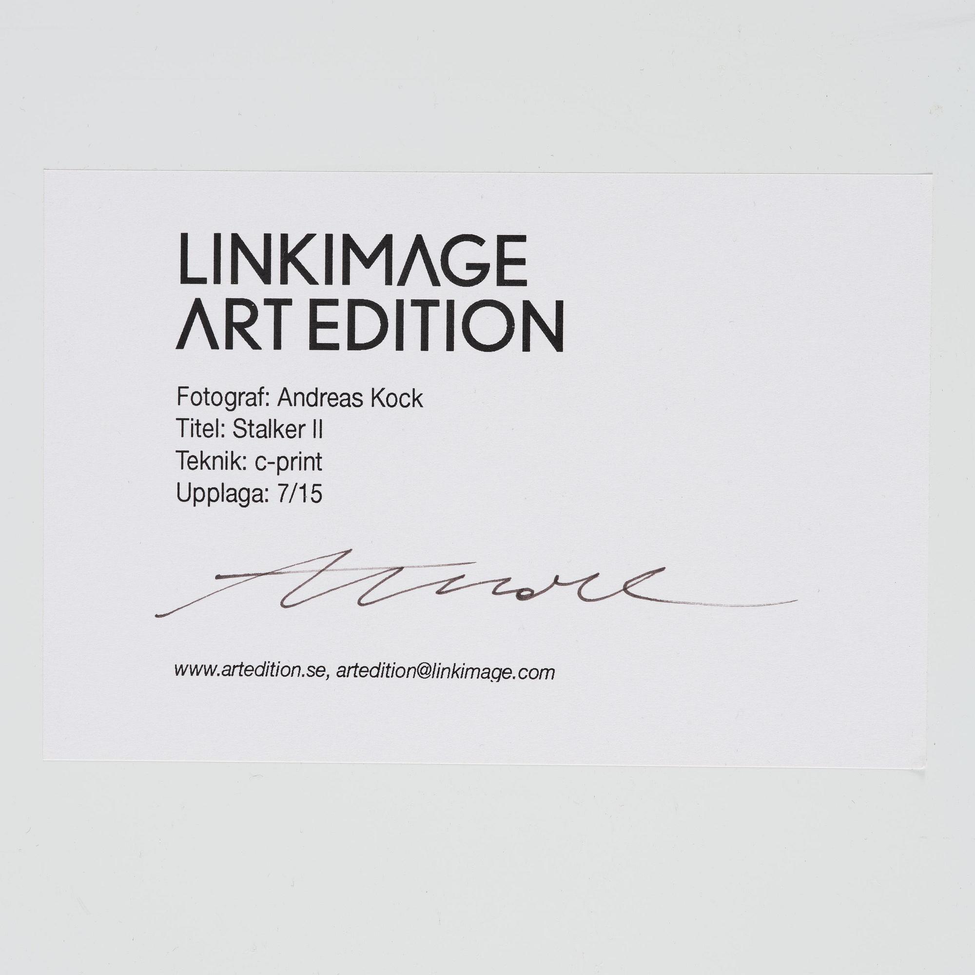 Andreas Kock, "Stalker II", 2010.