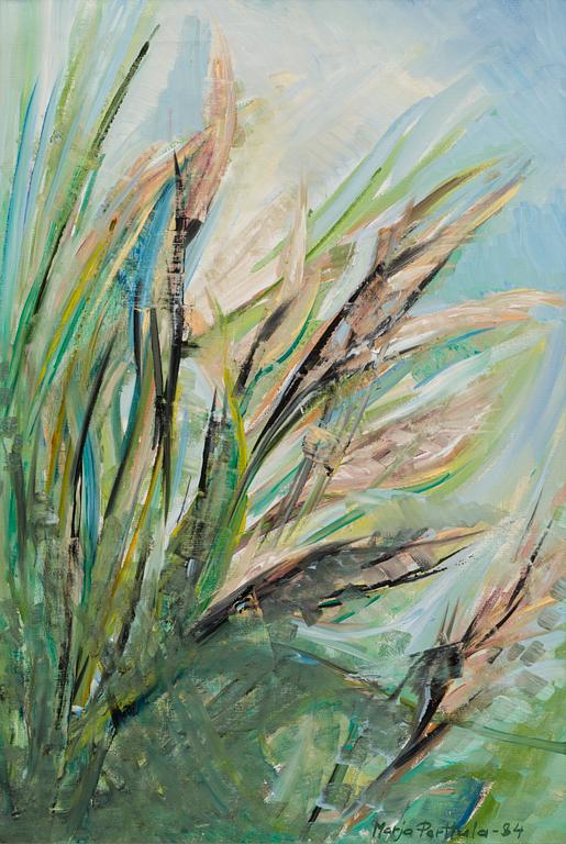 MARJA PERTTULA, öljy kankaalle, signeerattu ja päivätty -84.