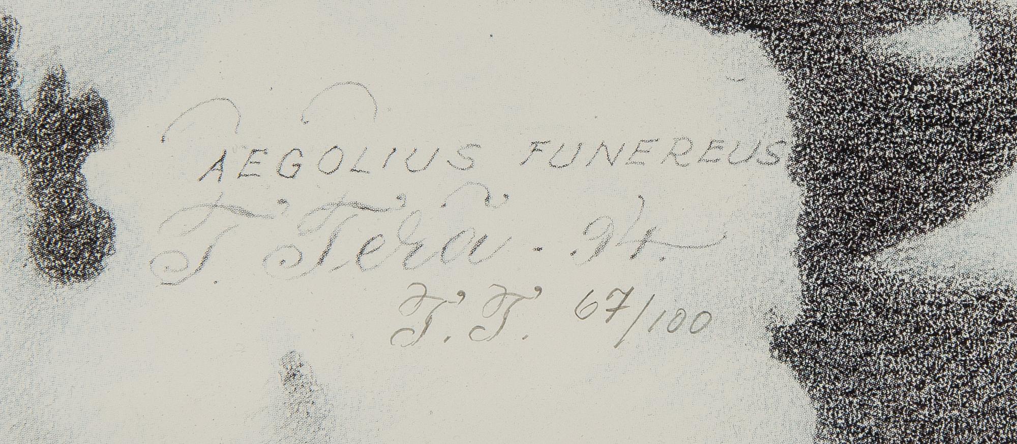 TEPPO TERÄ, litografi, märkt i plåten, signerad och numrerad 67/100, daterad -94.