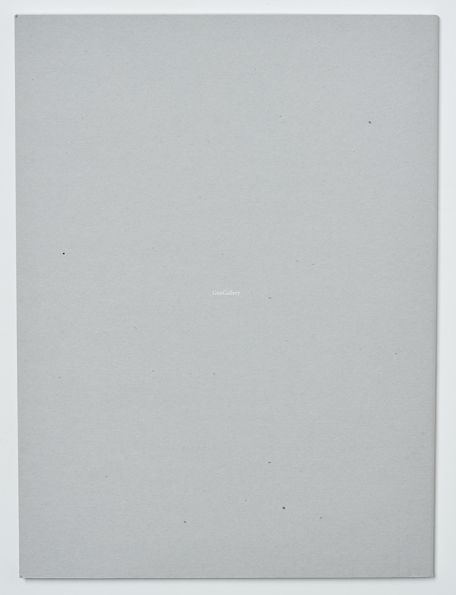 Sølve Søndsbø, bok Pictures from Savage Beauty signed.