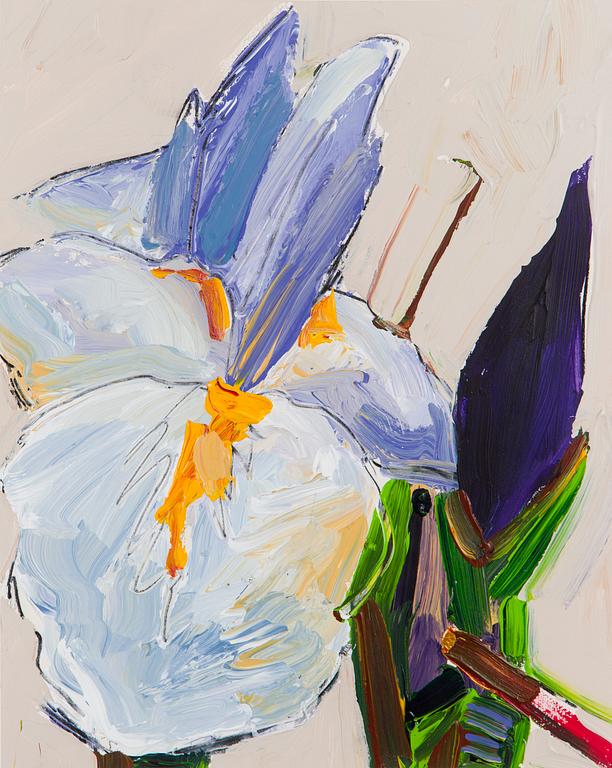 Tapani Mikkonen, "Iiris".