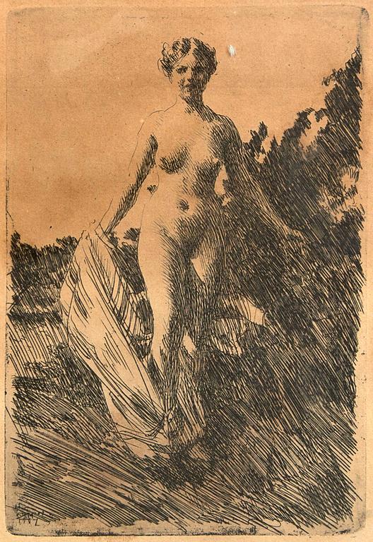 Anders Zorn, an etching.