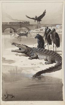 DAVID LJUNGDAHL, illustrationer, 8 st, tusch och täckvitt, signerade D. Ljungdahl. "Den andra djungelboken".