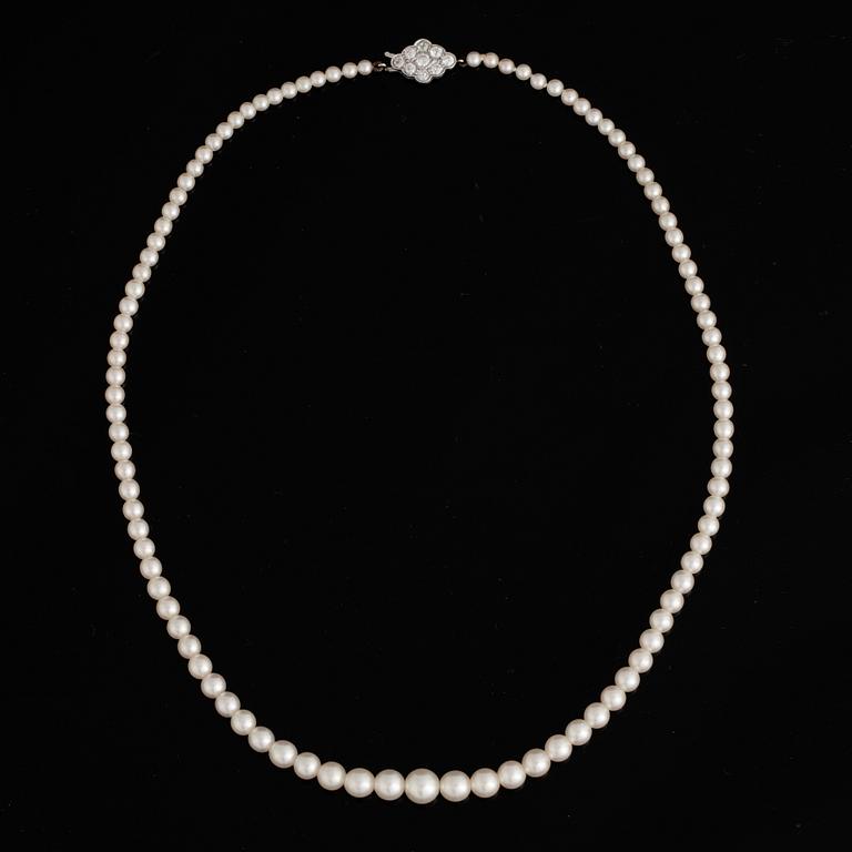 Pearl necklace, clasp platinum and old cut diamond.