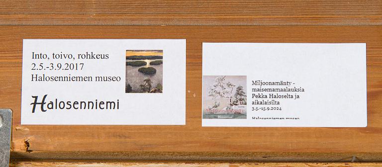 Eero Järnefelt, Flickan och Hunden.