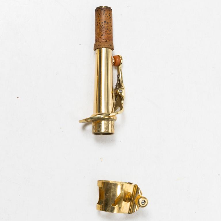 Trevor J. James, sopransaxofon, "Revolution 2"/ "The Hornet",  2000-tal, England.