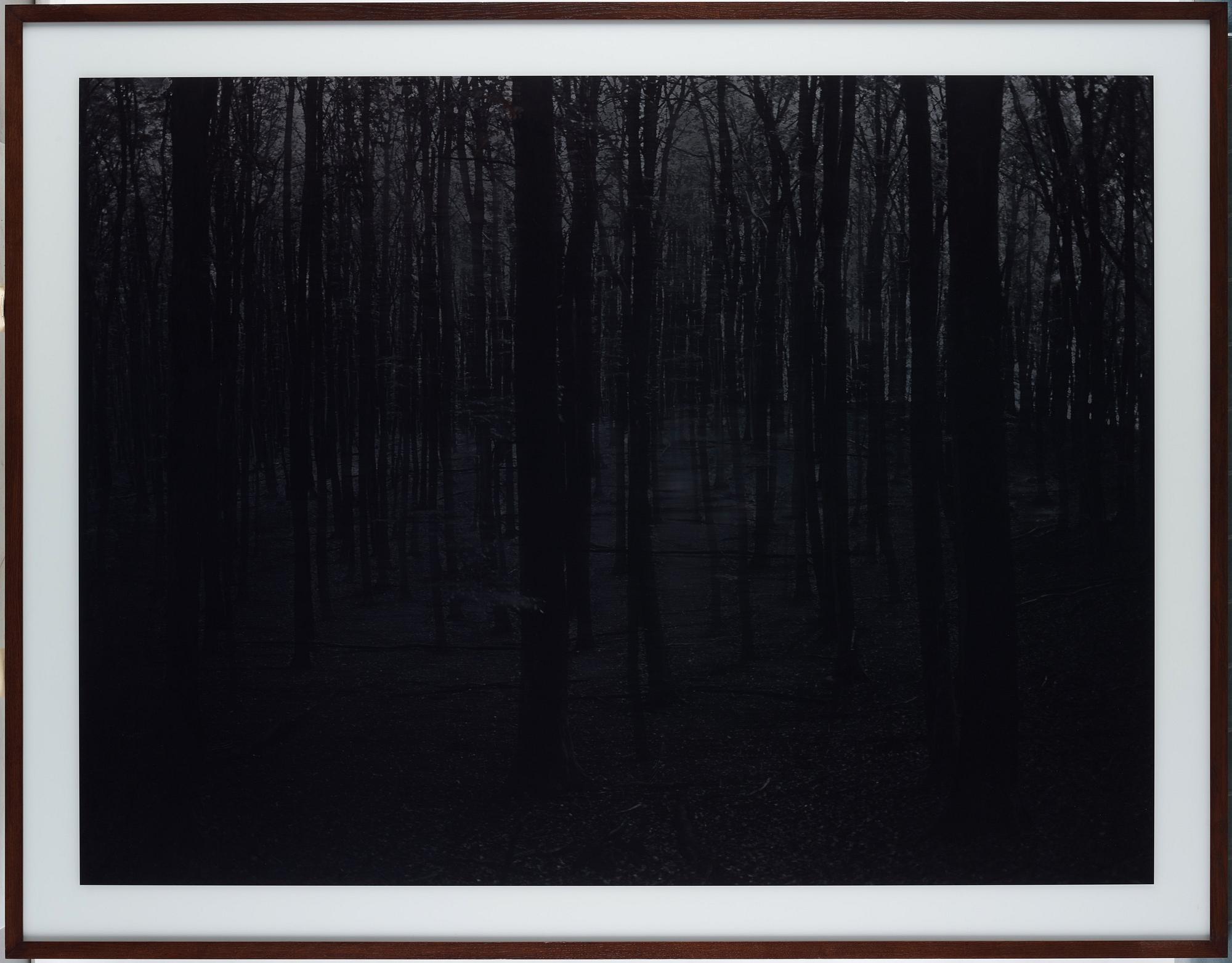 Blaise Reutersward, "Deutsche Landschaft 1203", 2012.