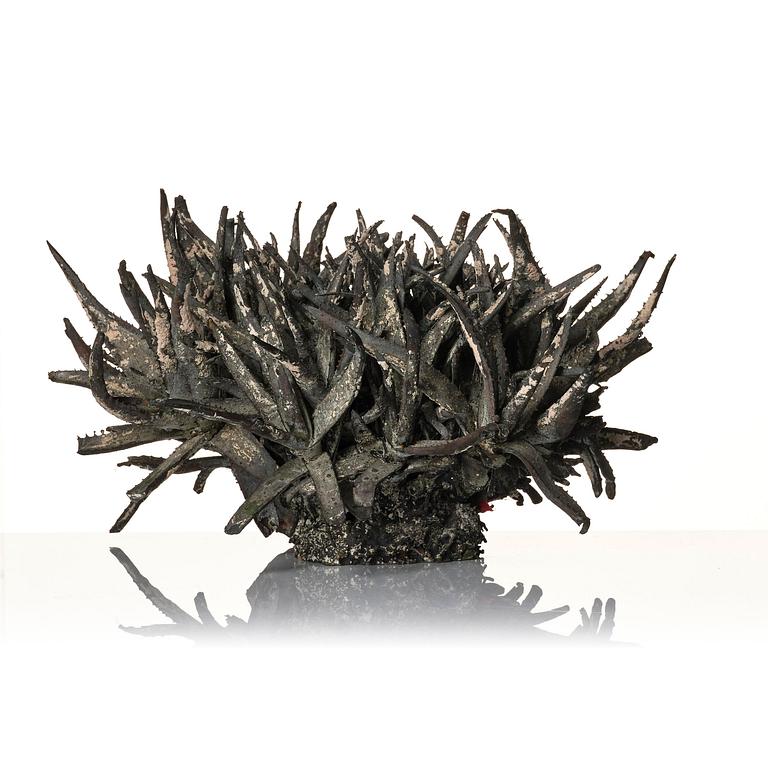 Roland Persson, "Aloe Vera".