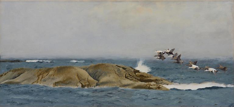Bruno Liljefors, Stretching eiders.