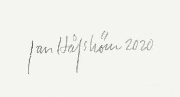 Jan Håfström, "Walkers escape".