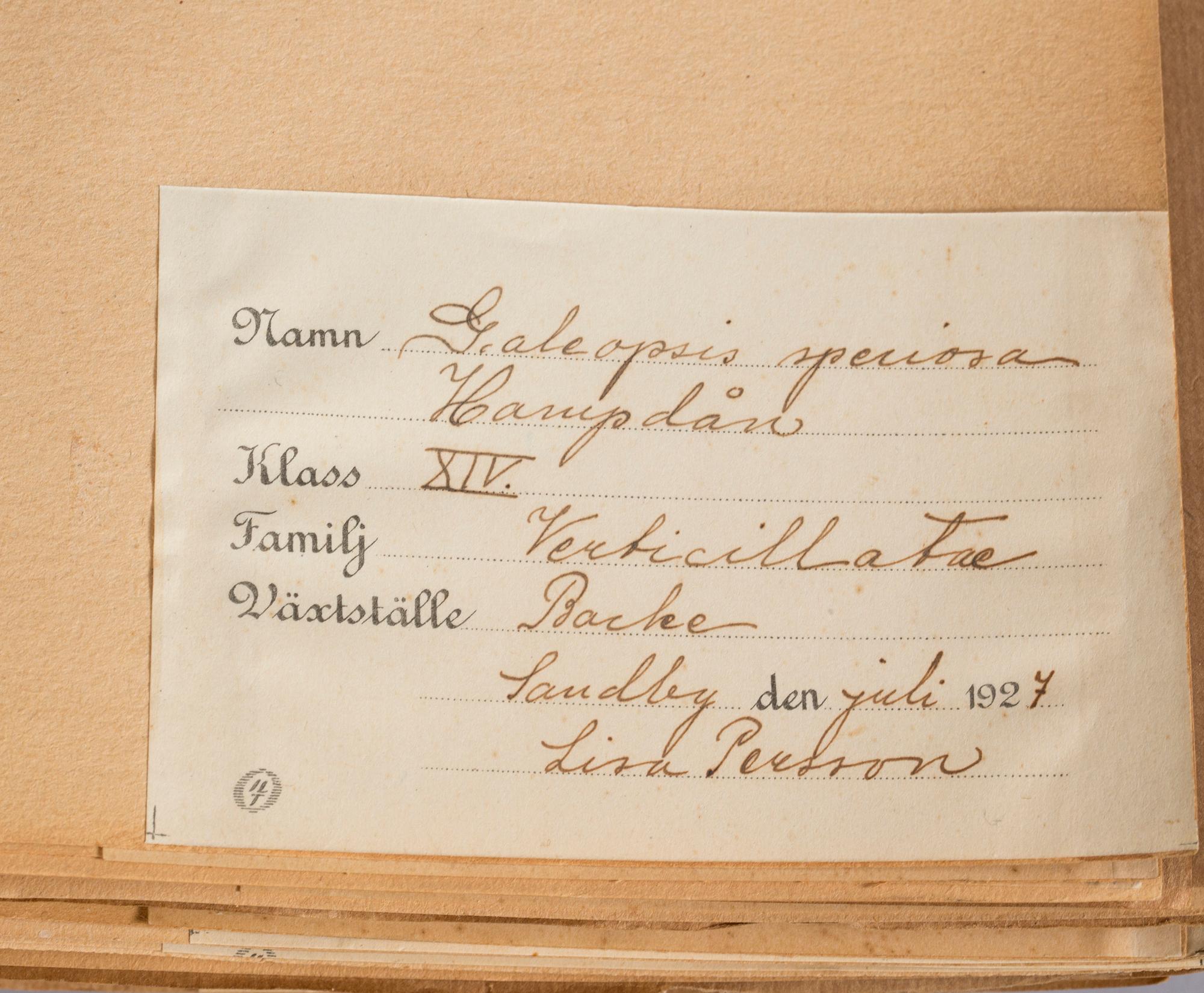 HERBARIUM. 1920-tal.