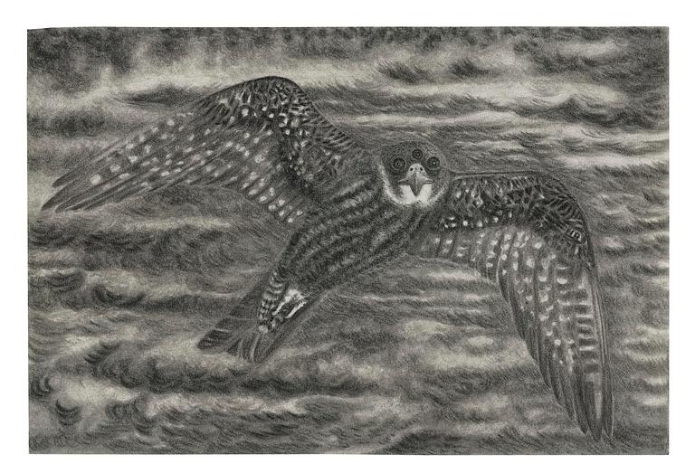 Jeff Olsson, "Funny Bird".