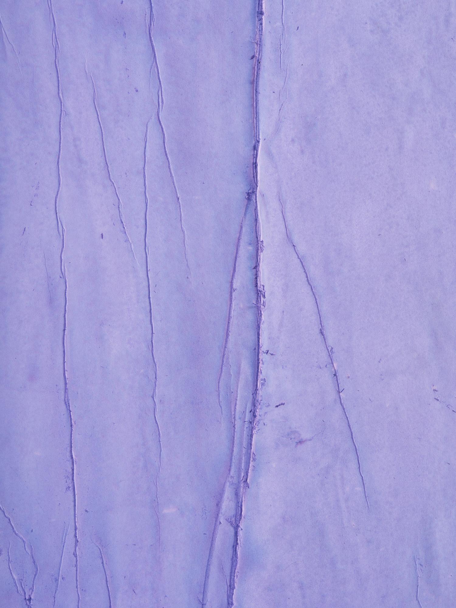Patrick Hill, "Lavandula".
