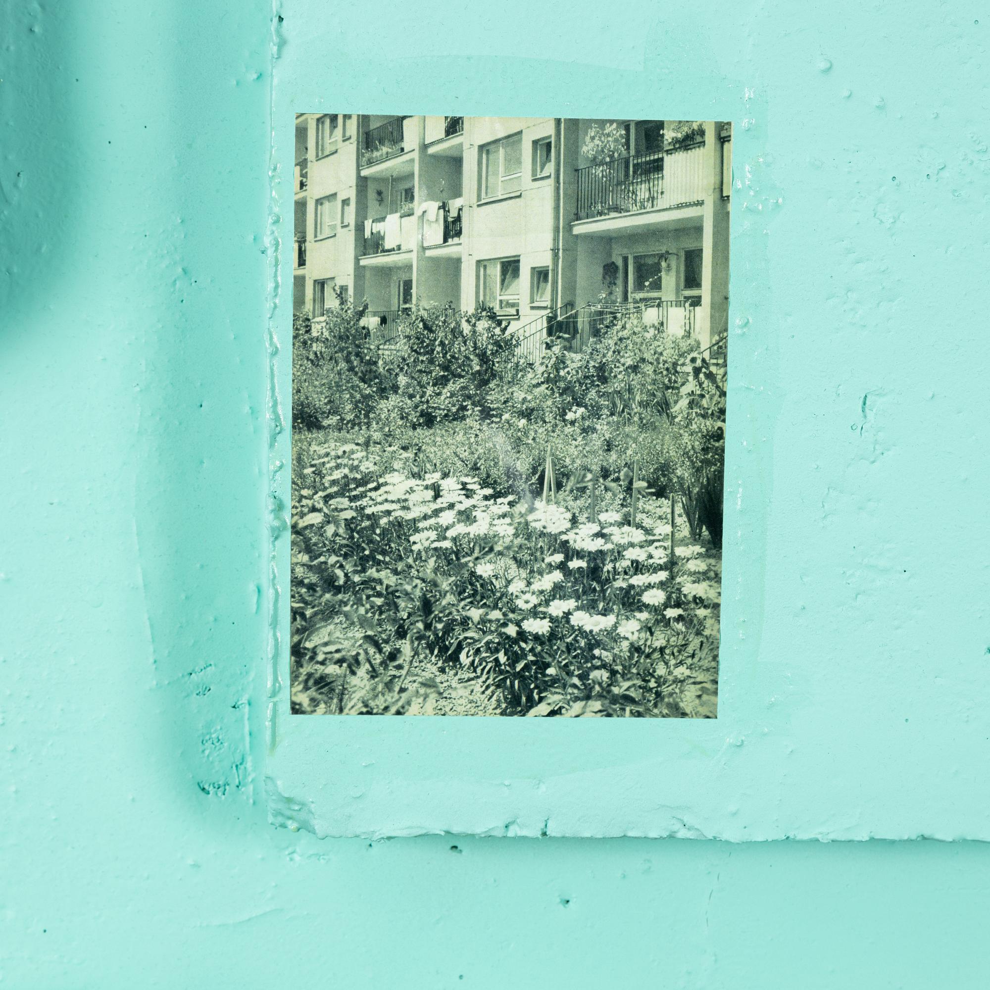 Przemek Pyszczek, 'Public Relief No.6'.