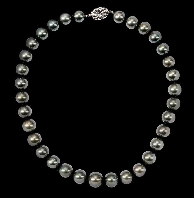 COLLIER, South Sea-pärlor med silverlås.