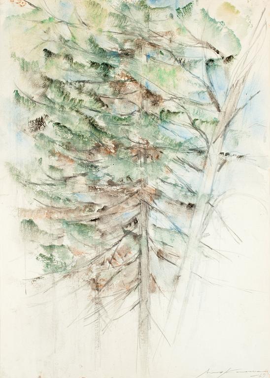 Aimo Kanerva, SPRUCE TREES.