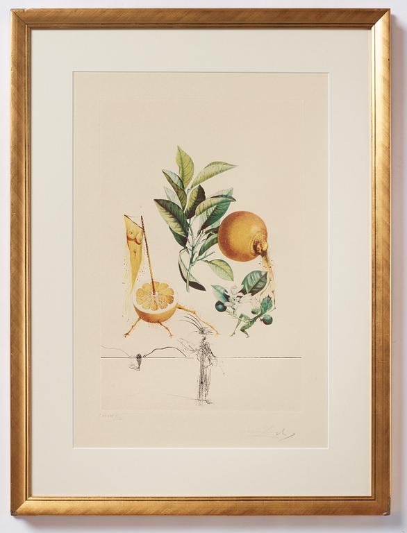 Salvador Dalí, lithographs in colour and drypoint. Signed and numbered CXXXIX/CL.