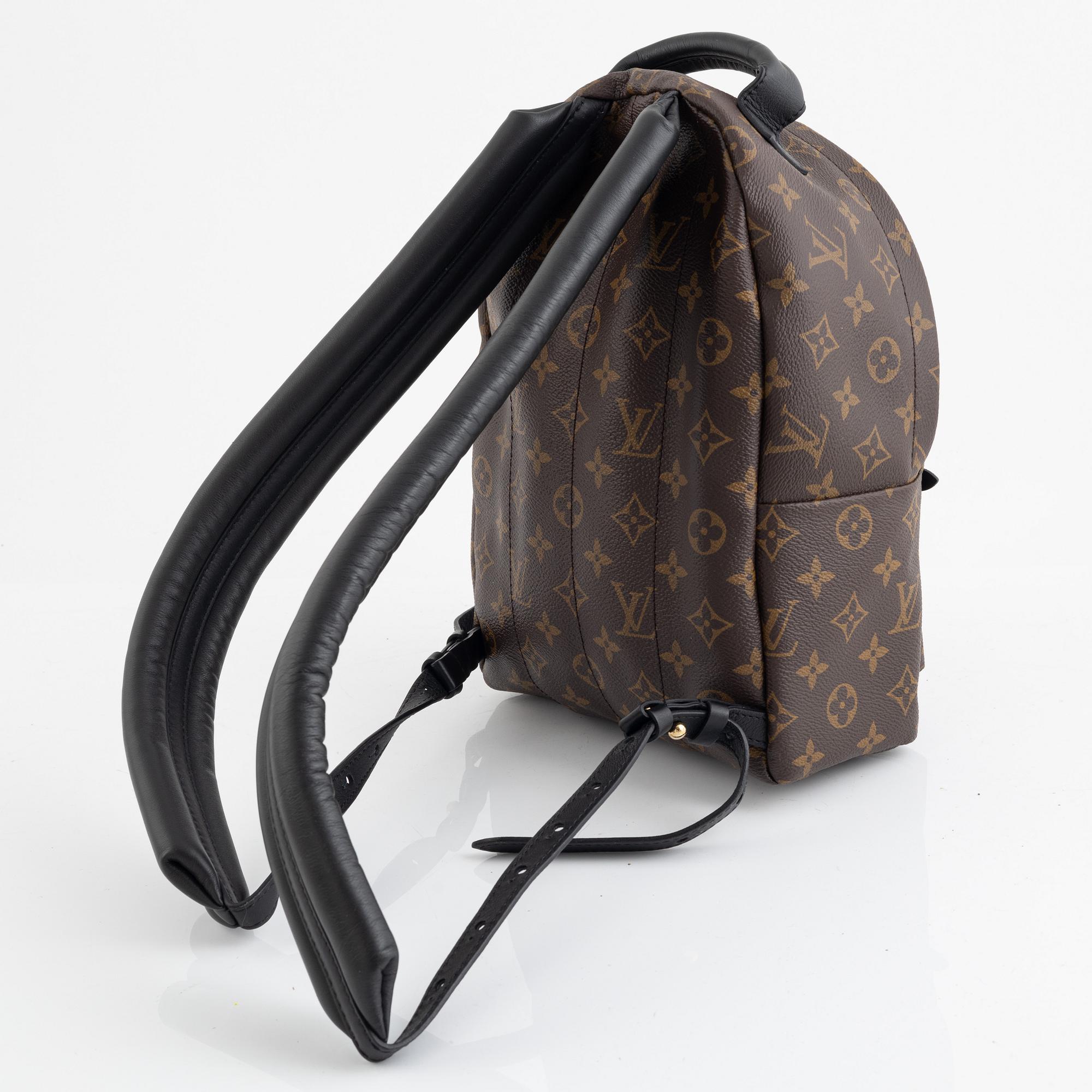 Louis Vuitton backpack Palm Springs Pm