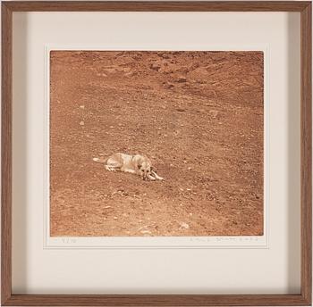 Lars Lerin,etching in colours, 2006, signed 5710.