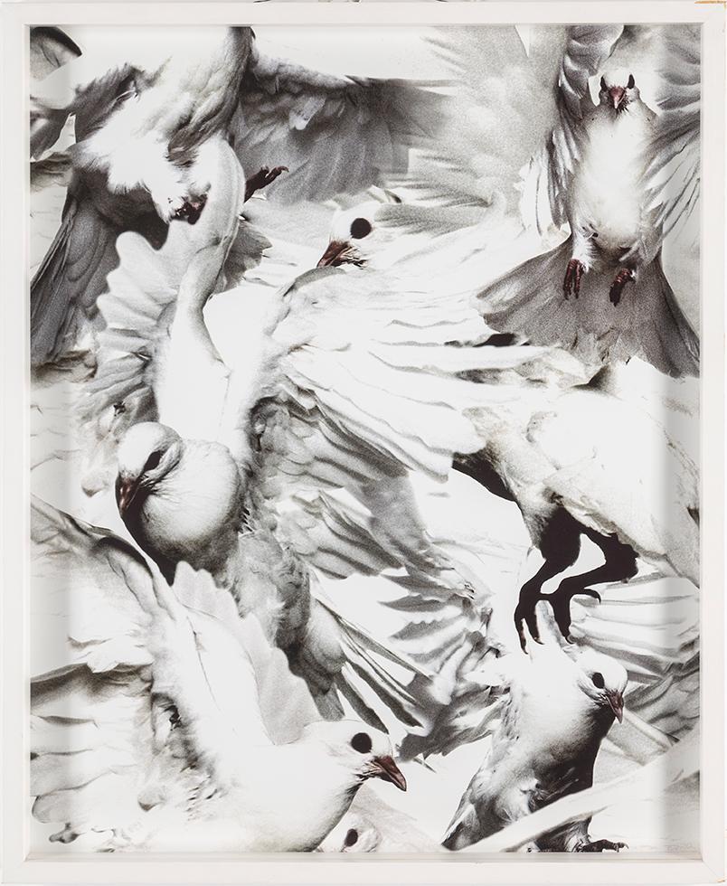 THOMAS KLEMENTSSON, photograph signed, dated and numbered 8/20.