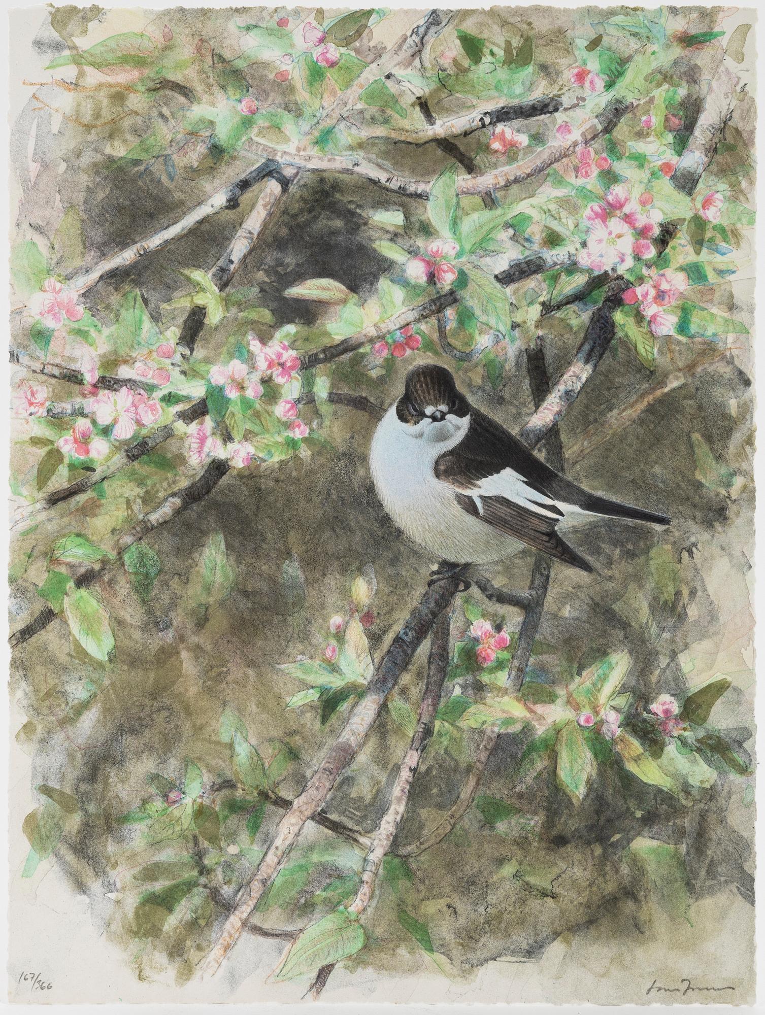 Lars Jonsson, portfölj "Dagrar", 2000,  med 12 färglitografier, signerade 167/366.