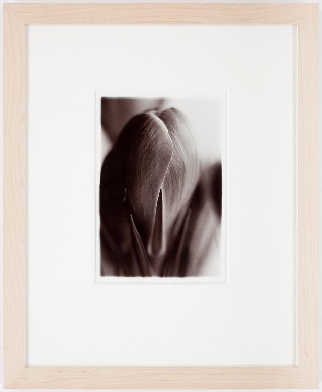 MONICA ENGLUND, Silvergelatinfotografi, sign a tergo.