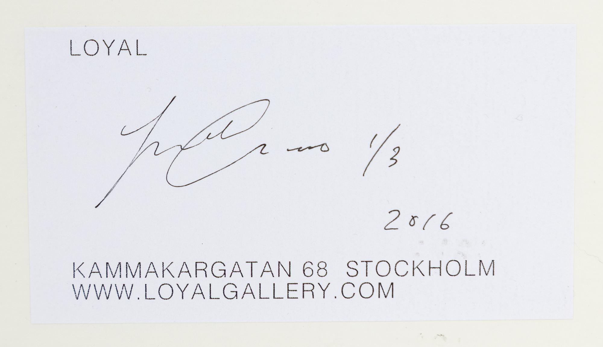 Louise Enhörning, "Toys R Us", 2016.