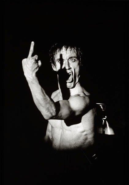 Mats Bäcker, "Iggy Pop, Köpenhamn 1977".