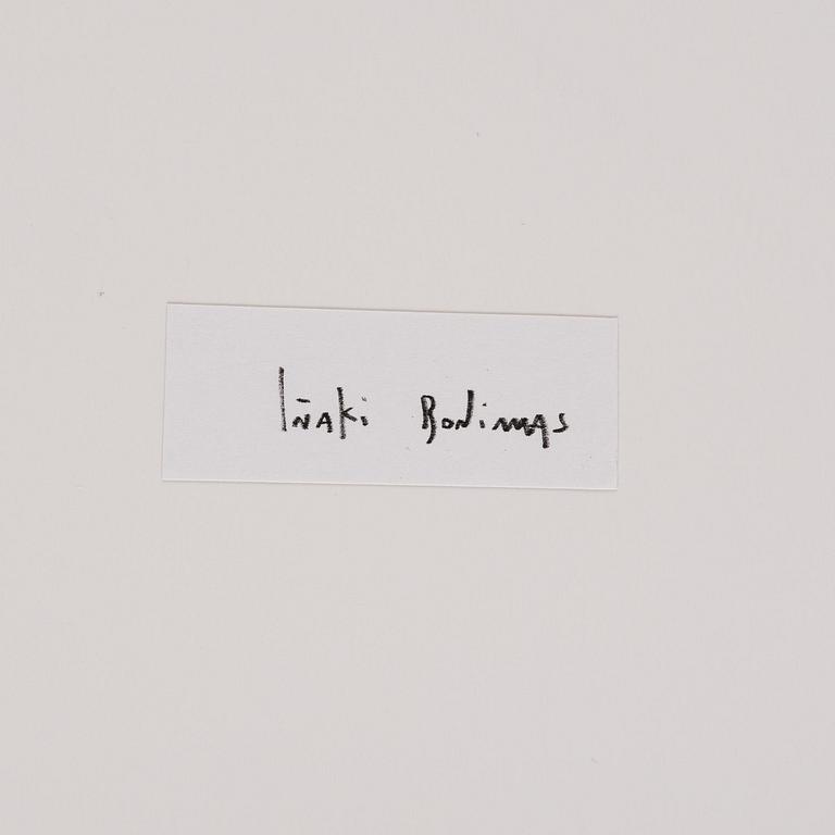 Iñaki Bonillas, "The Rain Came Last", 2013.