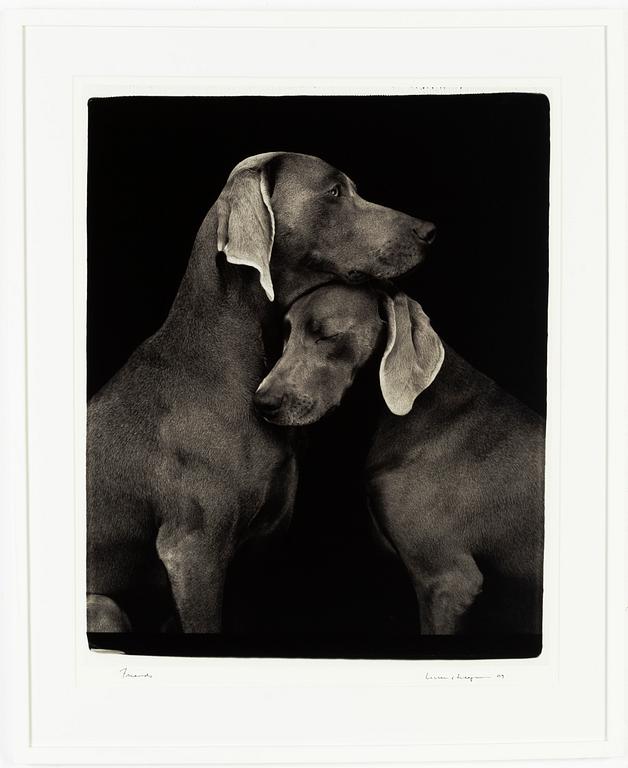 William Wegman, archival pigment print 2009, signed. Numbered 482/1500 verso.