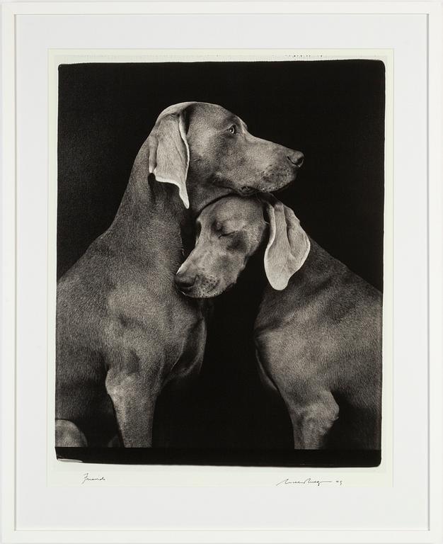 William Wegman, archival pigment print, 2009, signerat. Numrerat 119/1500 a tergo.