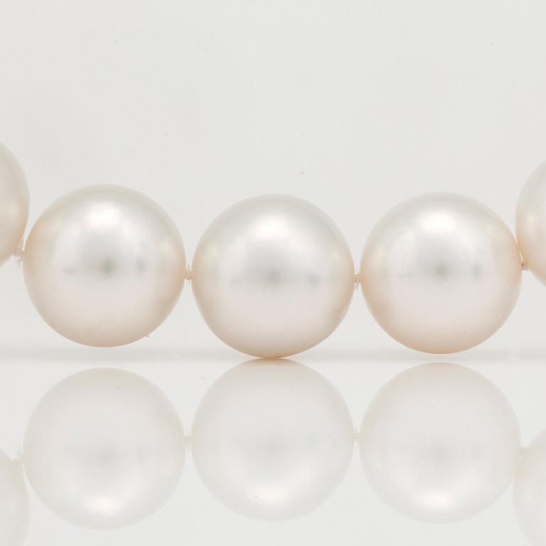 A cultured South Sea pearl collier.