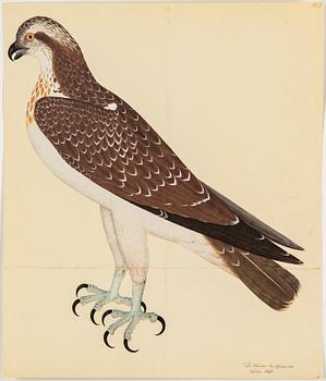 Olof Rudbeck the younger, after, a portfolio and two books, 1985. Numbered 285/1499.