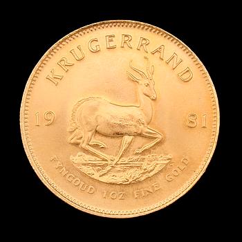 GULDMYNT, finguld, Krugerrand, Sydafrika, 1981. Vikt ca 34 g.