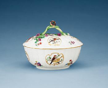 TERRIN med LOCK, porslin. Meissen, Marcolinis period (1774-1814).